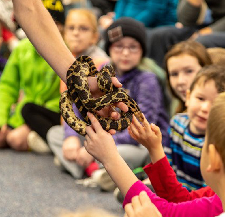 wonderful-wednesday-snake-discovery-mukwonago-community-library