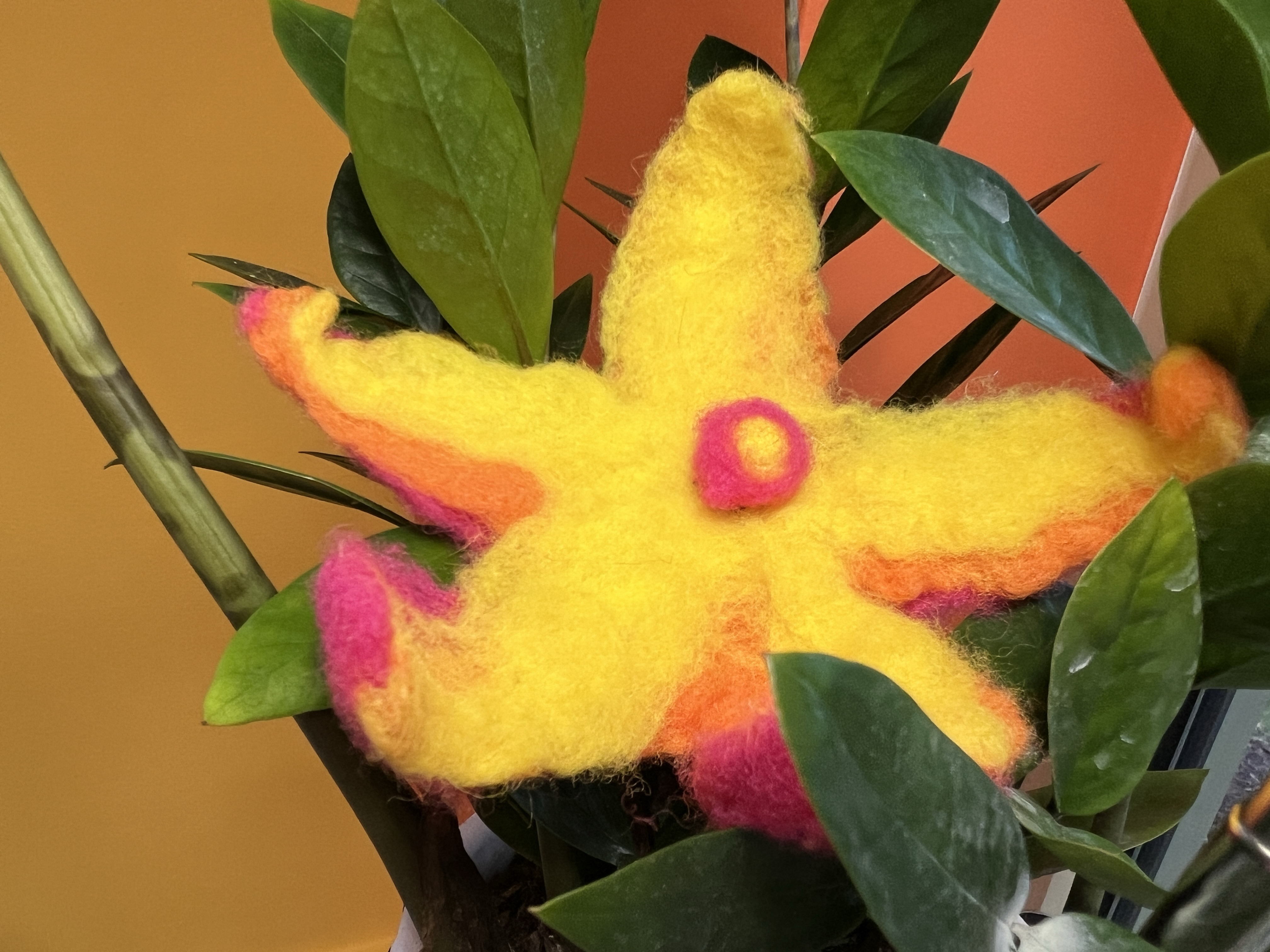 Yellow star shaped flower with pink underneath and dot in center on plant leaves with a yellow and orange background