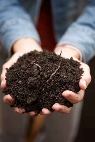 Image of person holding a handful of compost