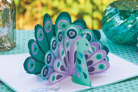 Peacock Pop-up card