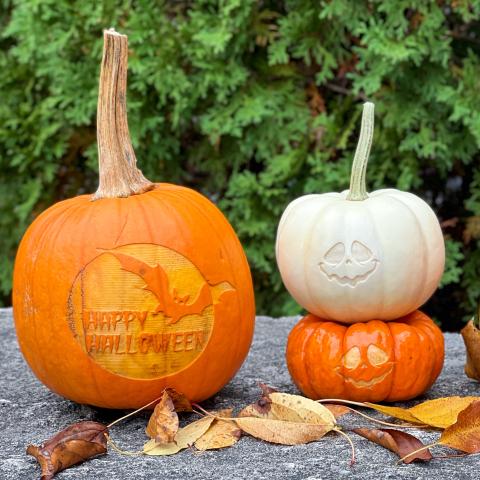 One pie pumpkin with a laser engraved bat on it. One small white and one small orange pumpkin with ghost face engraved on them.