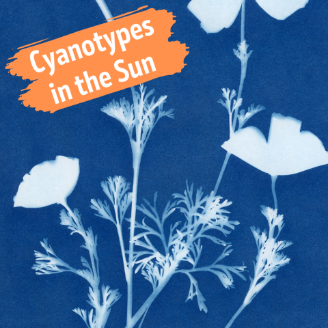 blue cyanotype with flowers with orange text box with white words saying cyanotypes in the sun