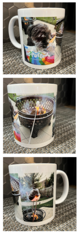 pictures of a dog and fire pit and burnt marshmallow on a white mug