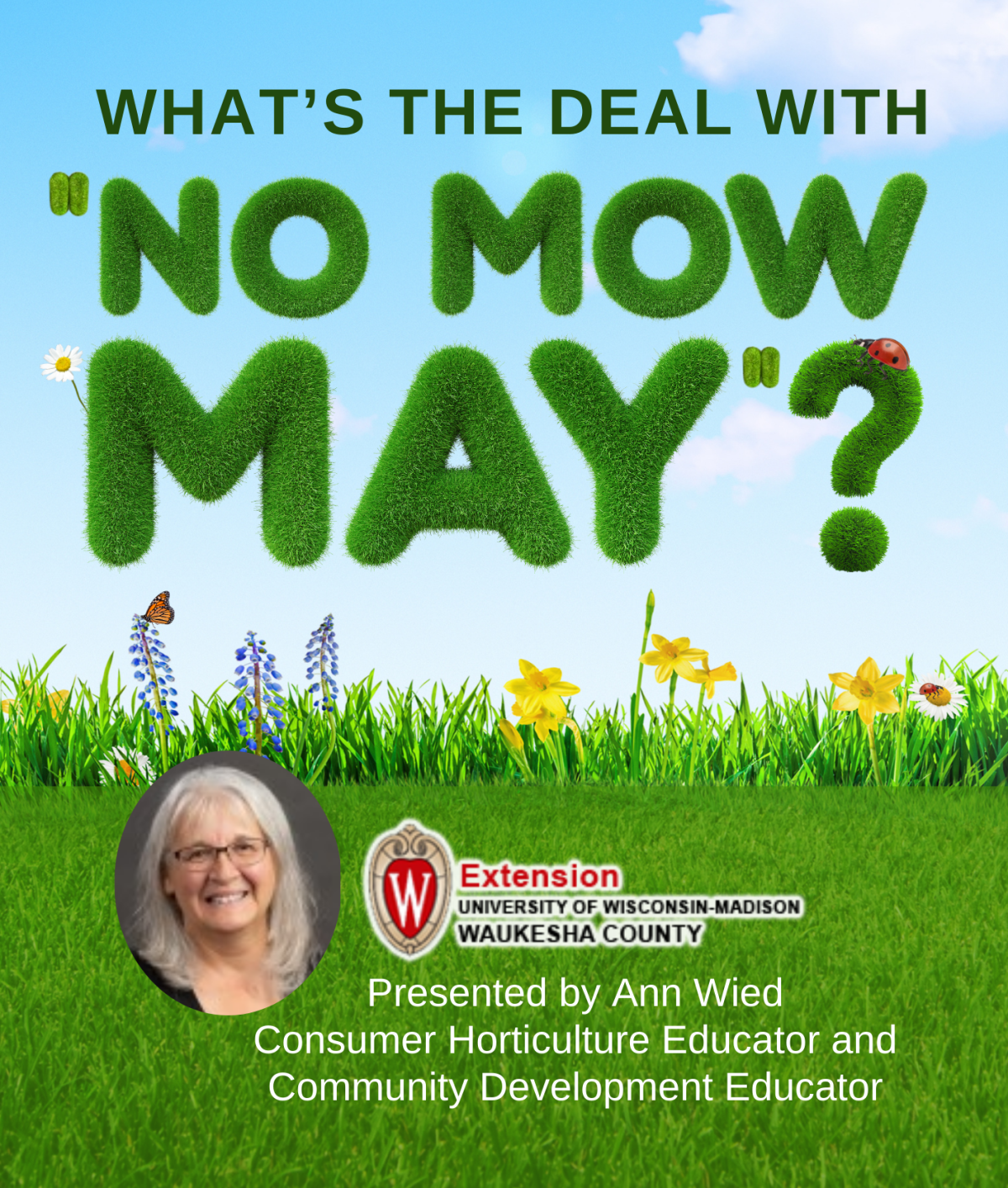 no mow may