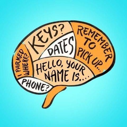 Drawing of brain with memory words